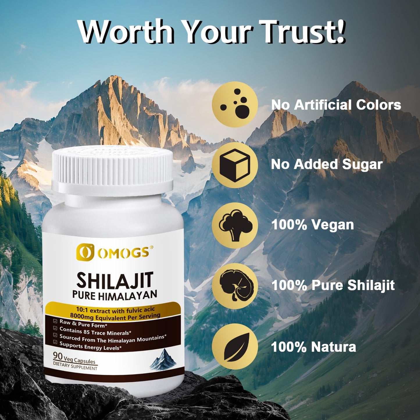 OMOGS Shilajit Capsule 1 Count