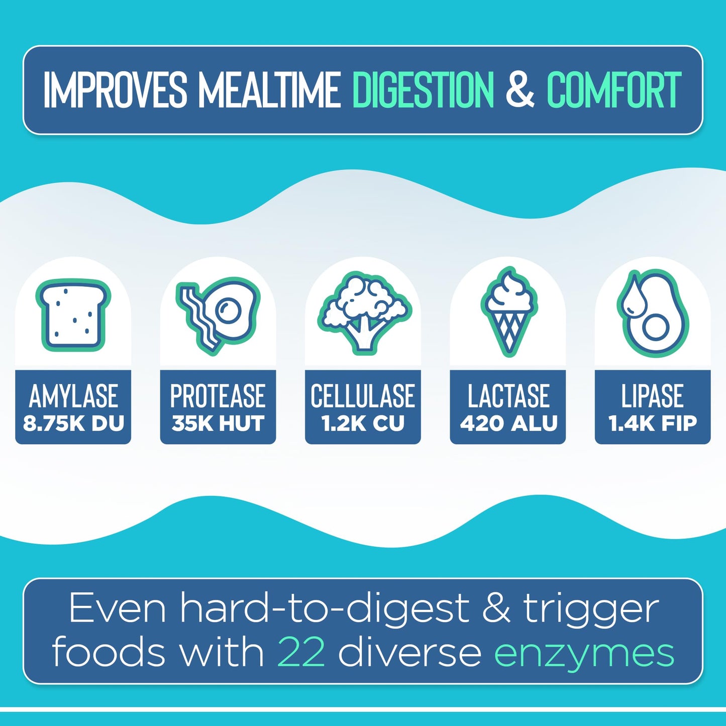 Vital Planet Digestive Enzymes Daily Digest Complete Support Natural Enzyme Formula Capsules 90 Count