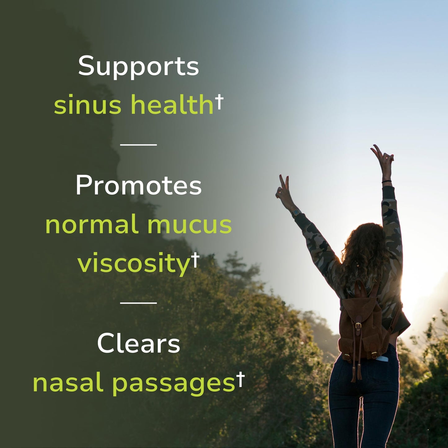 Vinco Hist-Resist® Sinus & Nasal Comfort Daily Supplement Capsules 120 Count
