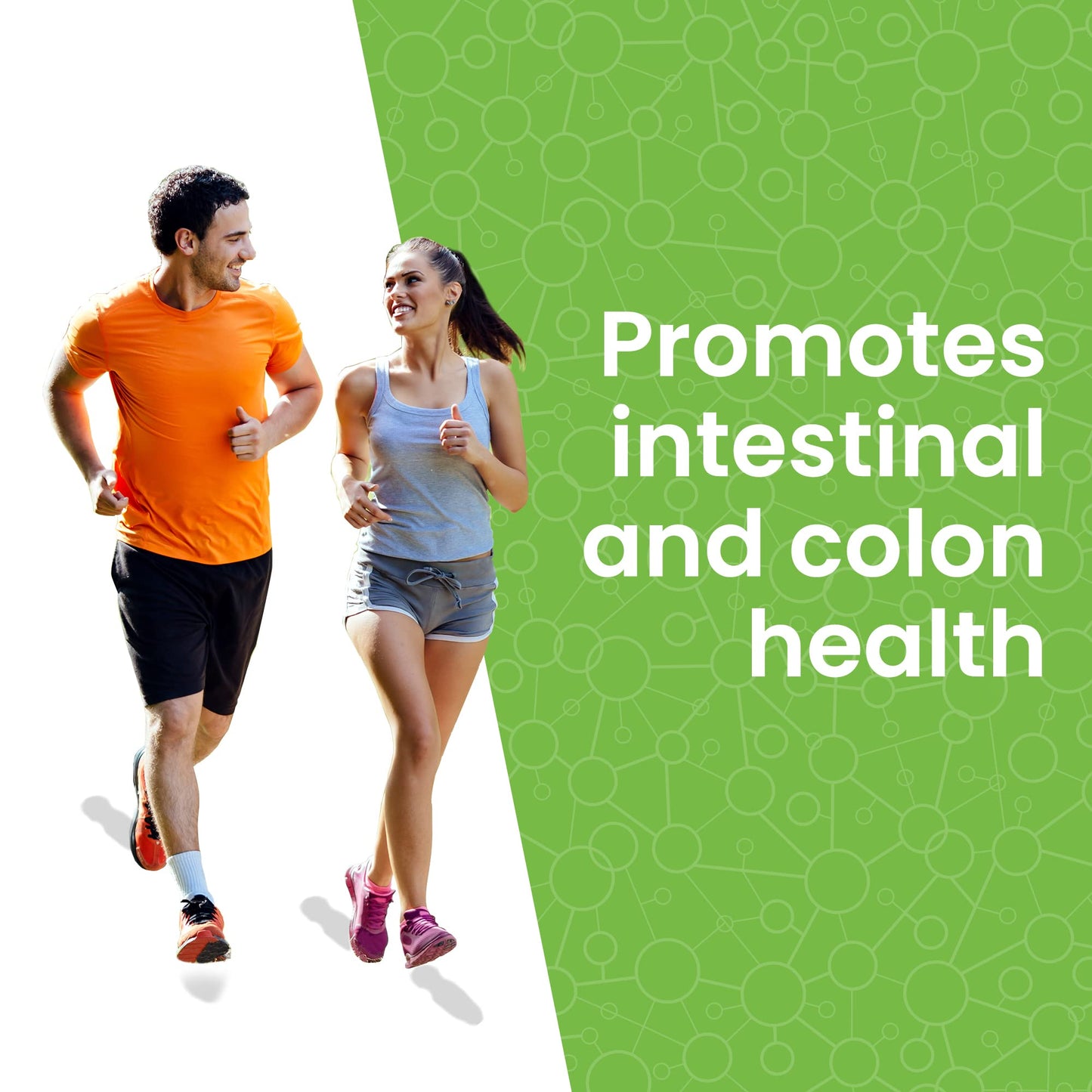 Lewis Labs Healthy Gut Prebiotic Fiber Powder 6 Oz