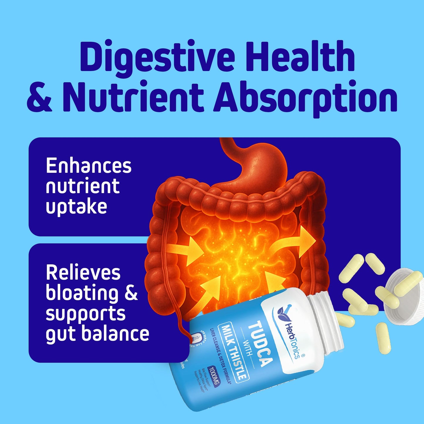Herbtonics TUDCA 1000mg Liver Detox & Gallbladder Support – Milk Thistle & Pterostilbene Enhanced Bile Salt for Liver Cleanse, Healthy Bile Flow, and Digestive Health, 60 Vegan Capsules