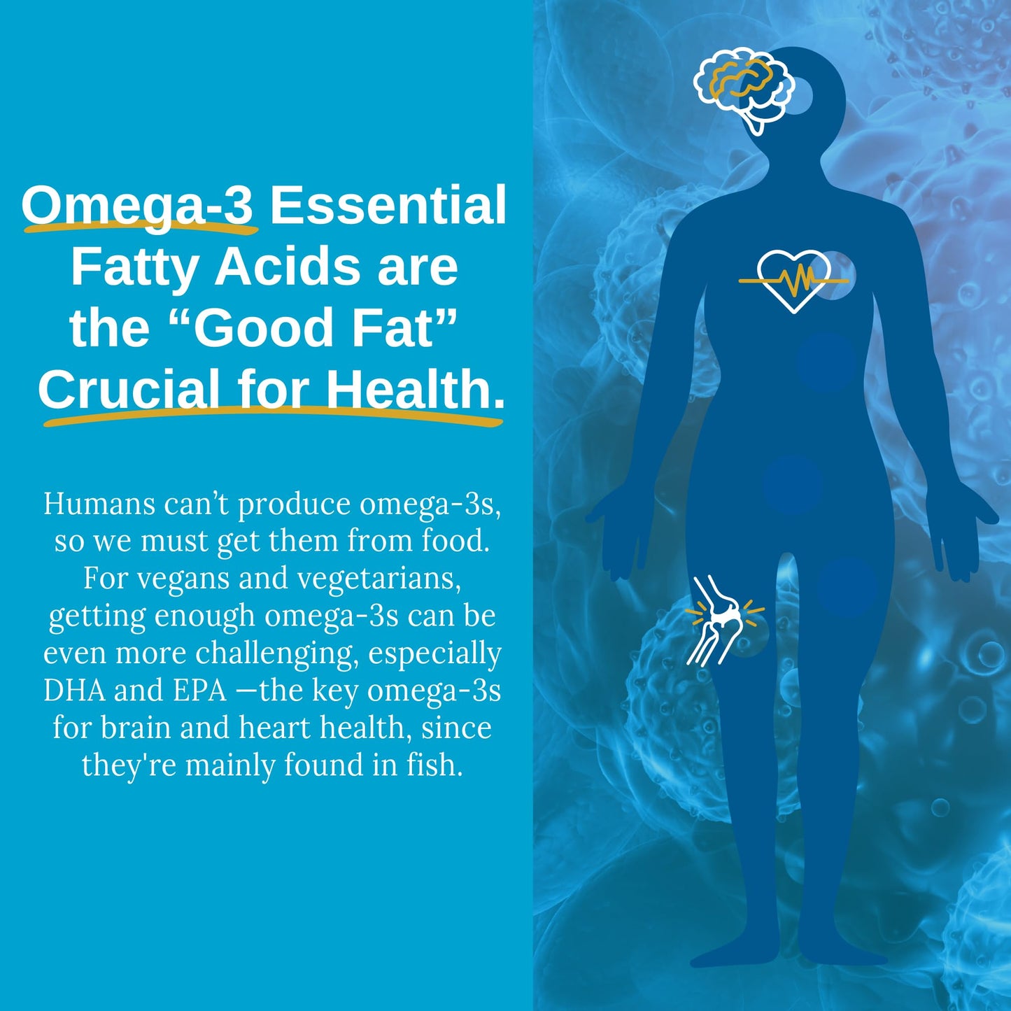 Xtendlife Vegan Omega 3 DHA & EPA for Heart, Brain & Joint Support Softgels 60 Count