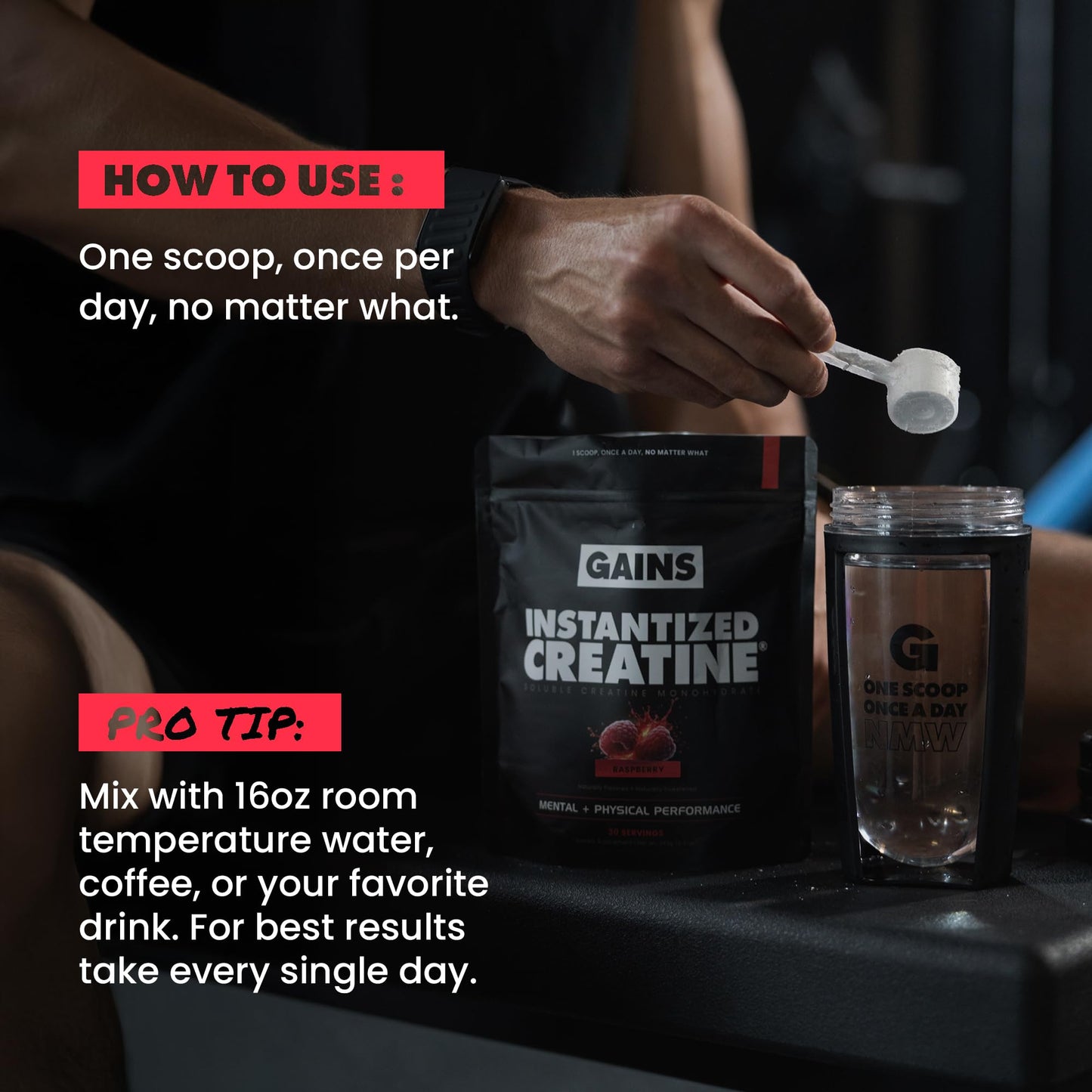 GAINS IN BULK Instantized Creatine Monohydrate Raspberry Flavor, Powder, 30 Servings