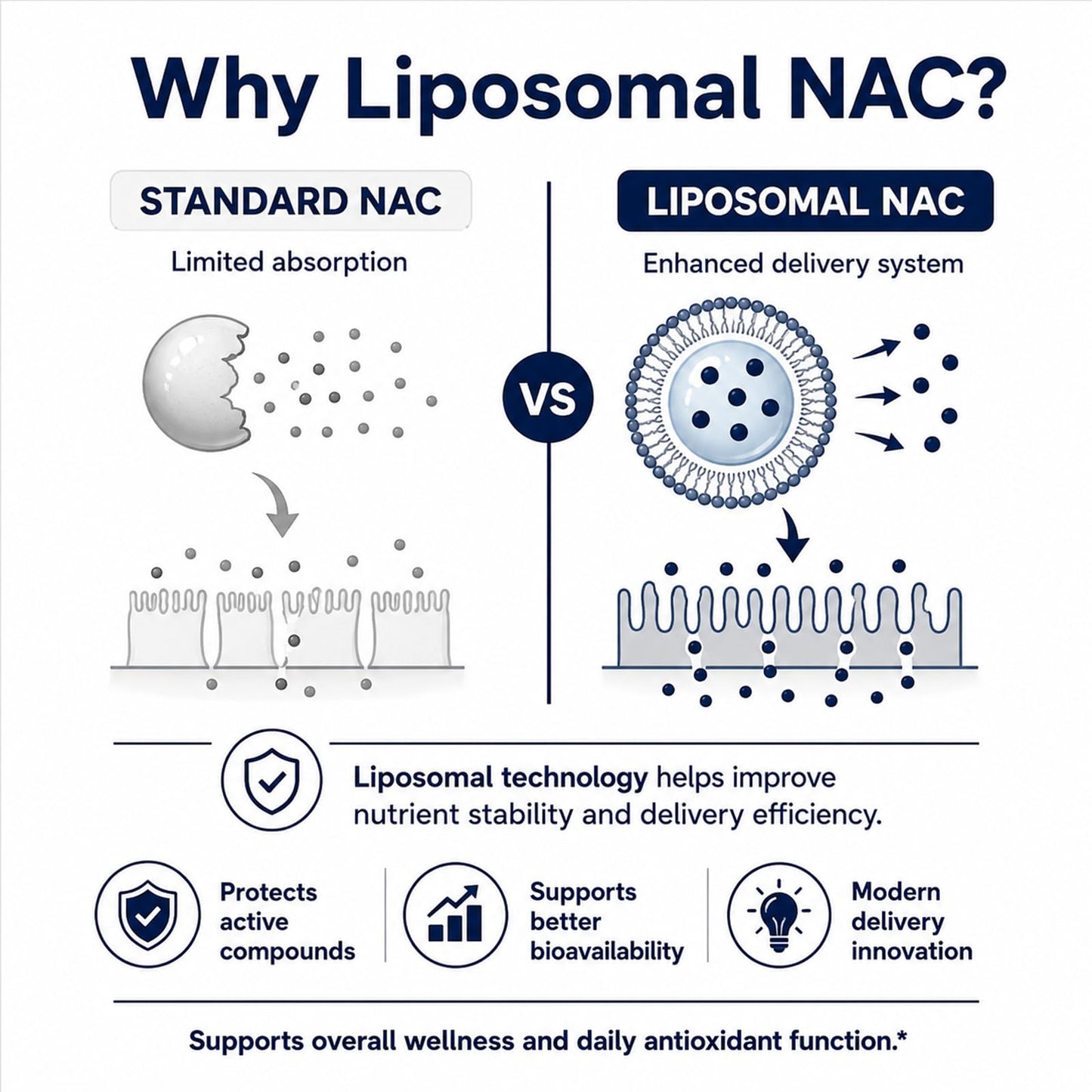 Ikokei Orvia Labs Liposomal NAC Supplement Capsule 1 Count