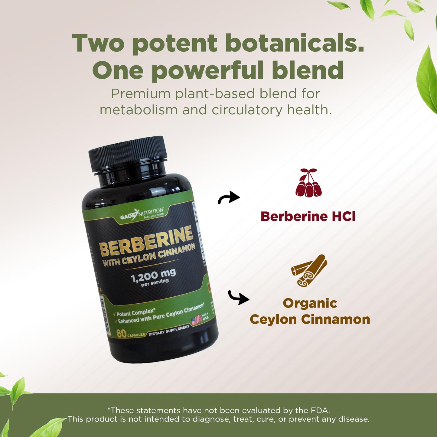 GADE NUTRITION BOOST YOUR HEALTH Berberine Supplement with Ceylon Cinnamon Capsules 60 Count