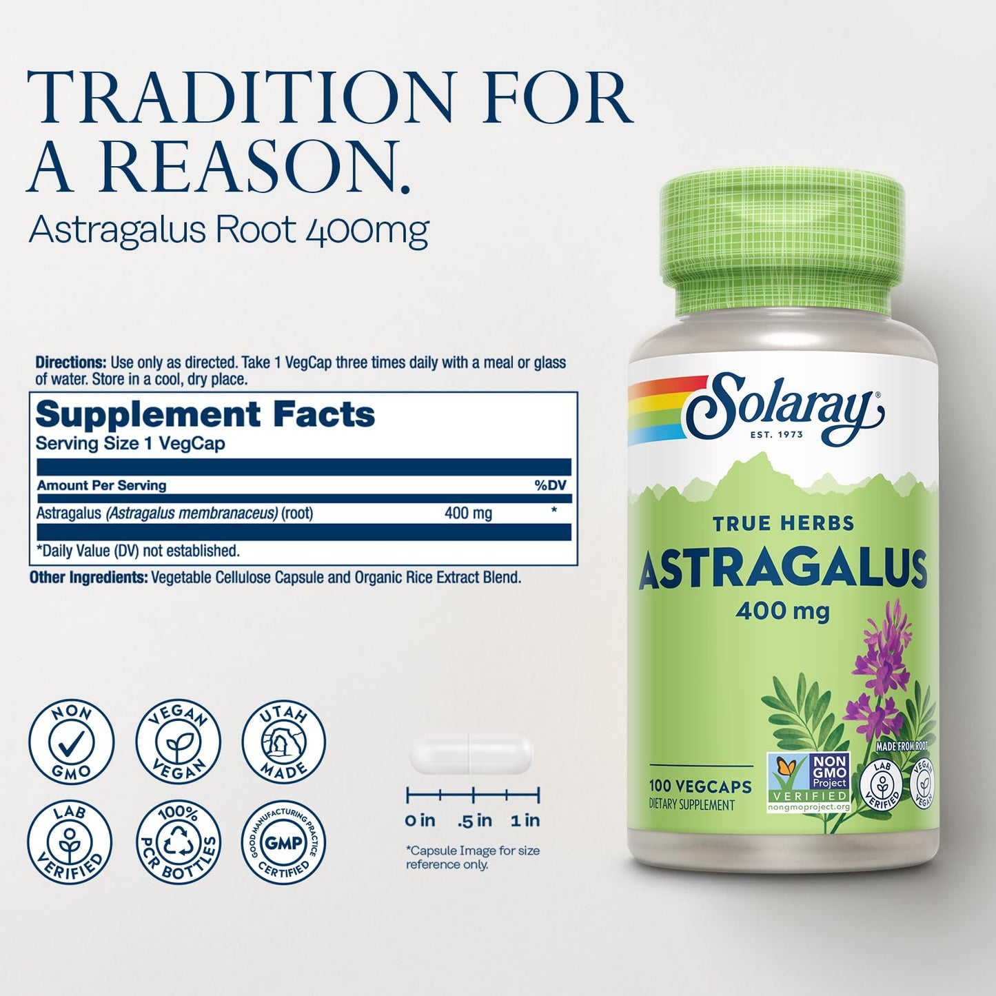 SOLARAY Astragalus Root 400mg – Traditional Herbal Support Capsule, 100 Count