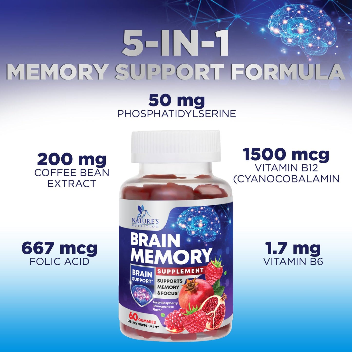 Nature's Nutrition Brain Supplements for Memory & Focus Gummies, 60 Count
