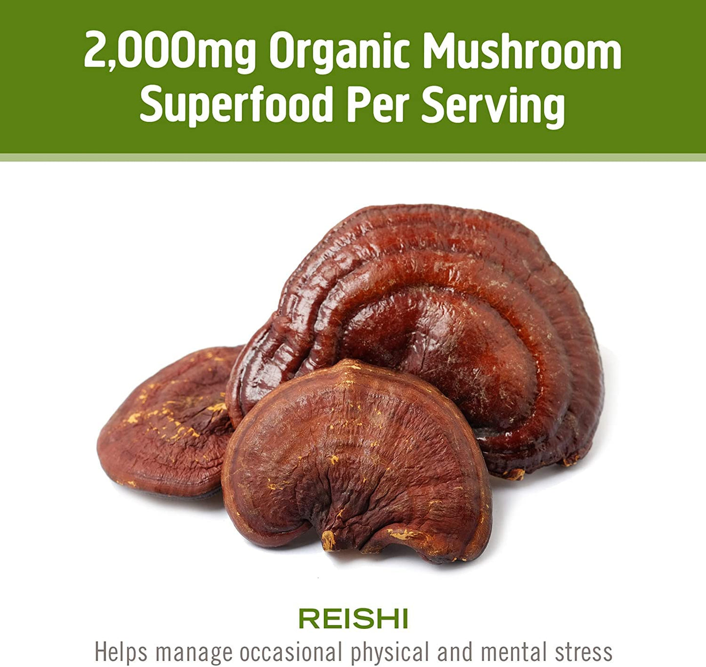 OM MUSHROOM SUPERFOOD Reishi Mushroom Capsule 90 Count