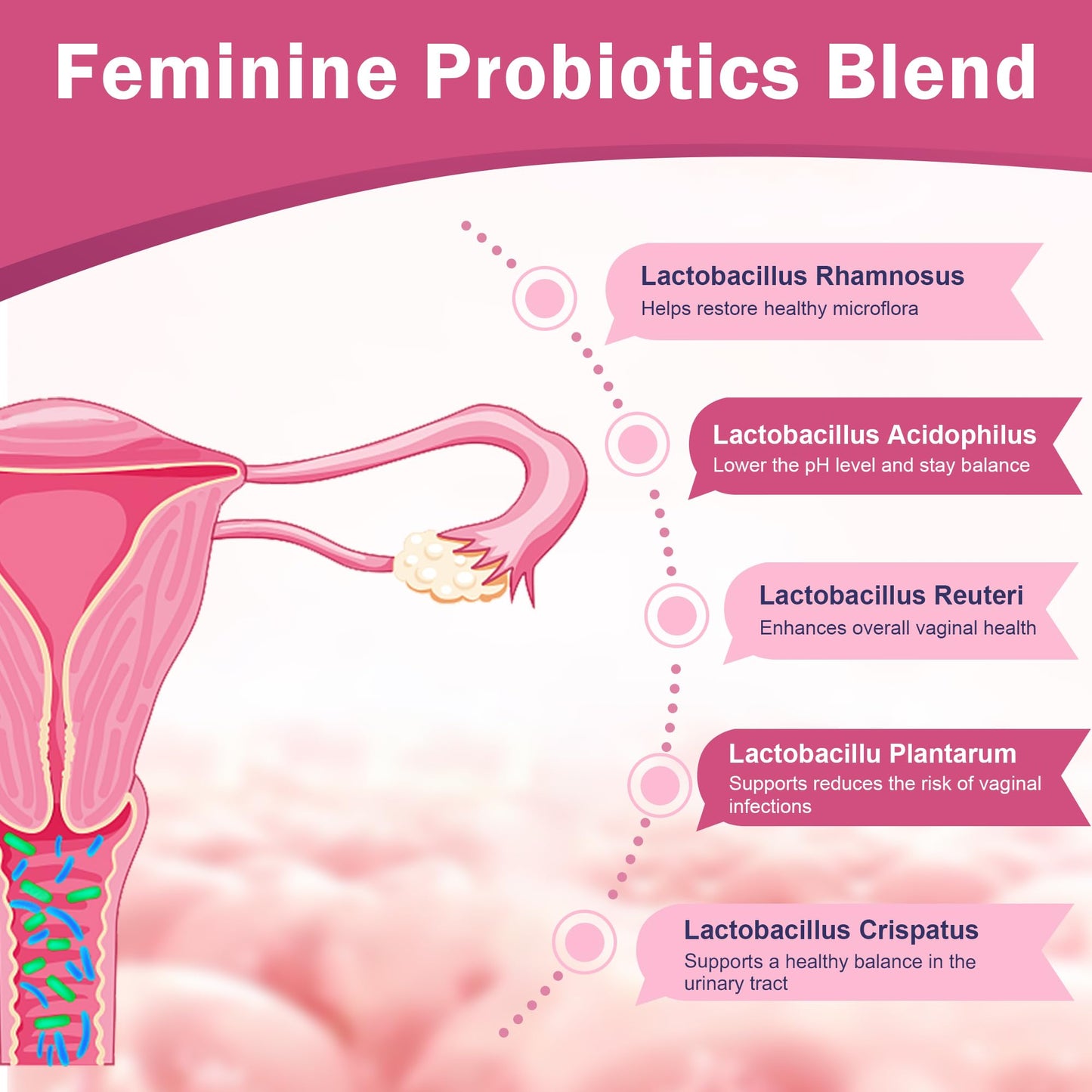 Nature Target Vaginal Probiotics for Women 90 Capsules