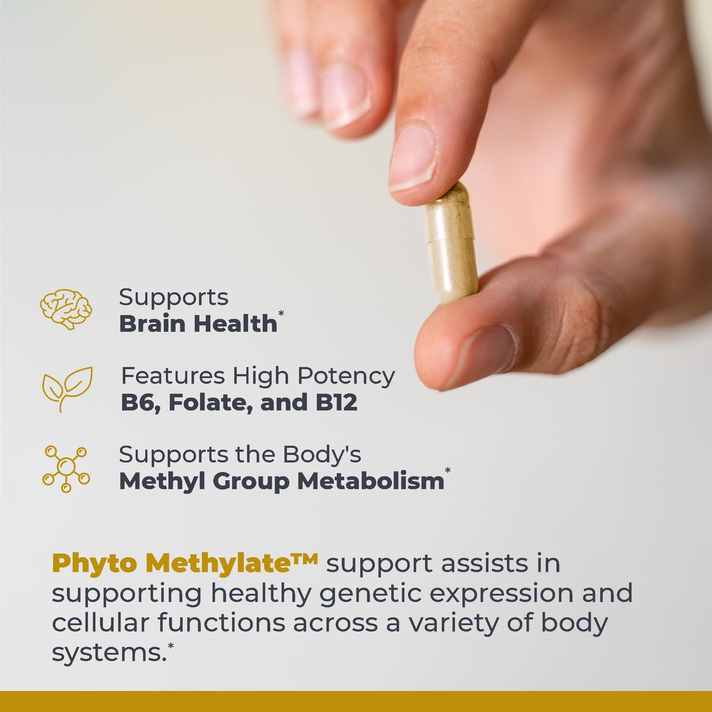 Premier Research Labs Phyto Methylate B Vitamin Supplement Capsules, 60 Count