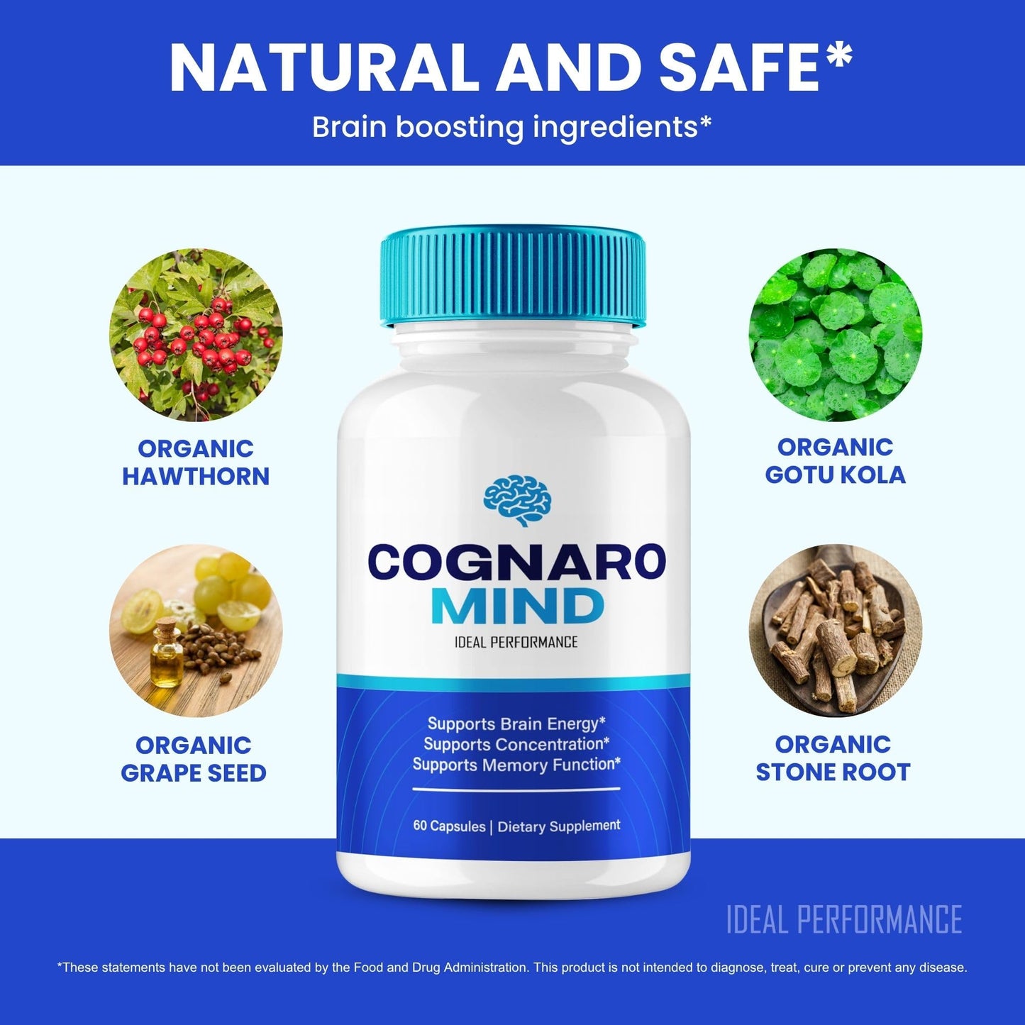 IDEAL PERFORMANCE Cognaro Mind Capsules 180 Count