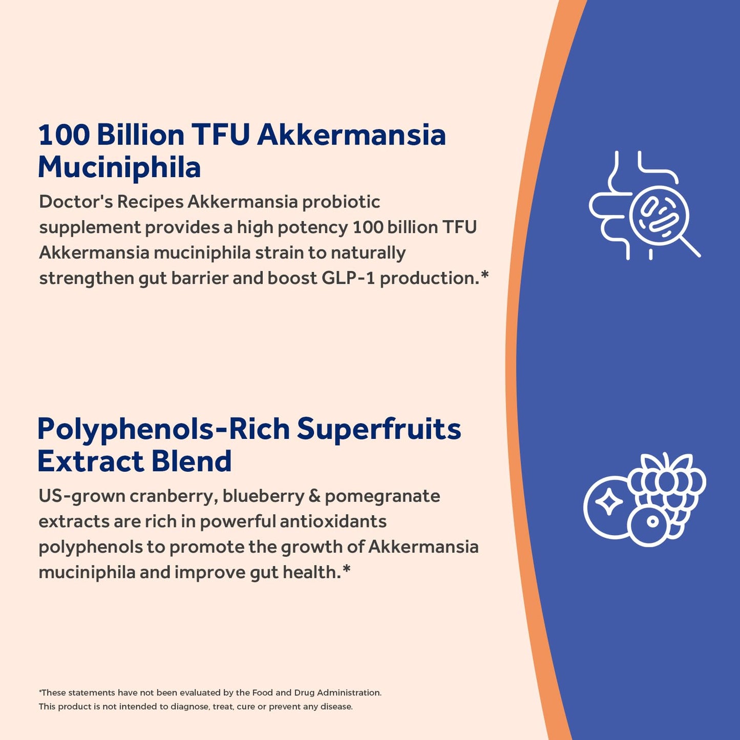 Doctor's Recipes Akkermansia Probiotic, Akkermansia Muciniphila 100 Billion TFUs, Cranberry, Blueberry & Pomegranate Extract, GLP-1 Production, Gut Health & Immune Support, Veggie Capsules, 30 Count