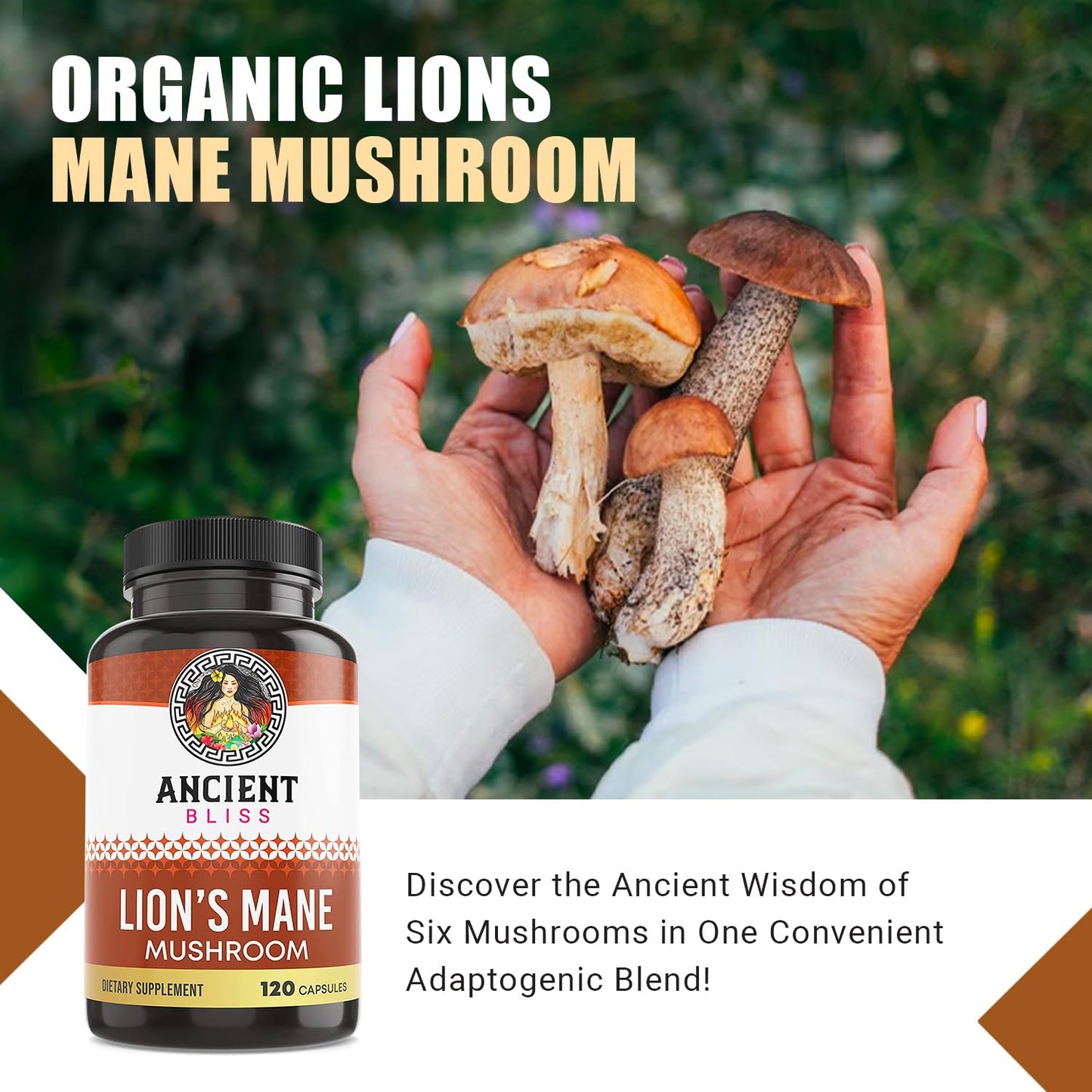 Ancient Bliss Lion's Mane Supplement 120 Capsules