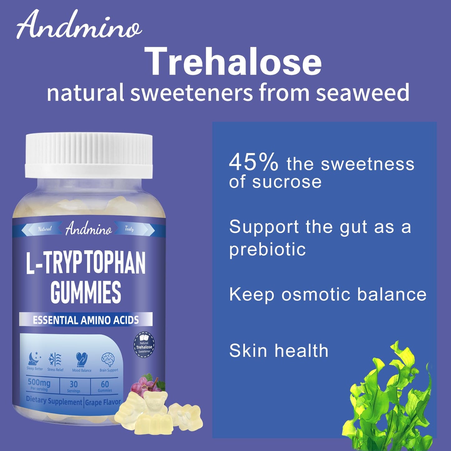 andmino L-Tryptophan Gummies 500mg with Trehalose, 60 Gummies