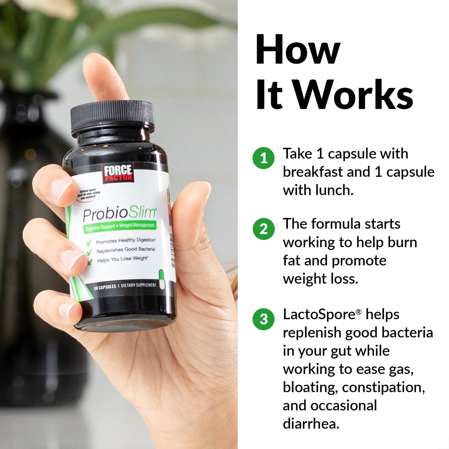 ProbioSlim Probiotics for Women and Men Capsules, 60 Count