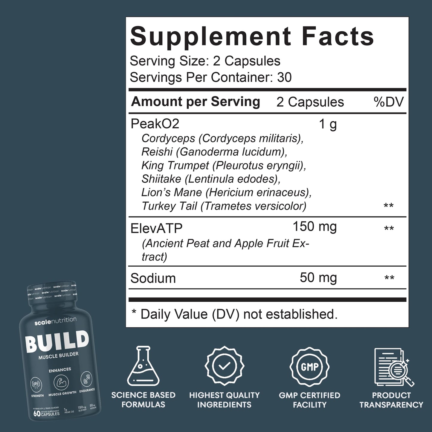 Scale Nutrition Build - Muscle Builder Supplement for Muscle Growth, Strength, Weight Gain, Endurance & Performance Enhancement for Men & Women - 60 Capsules