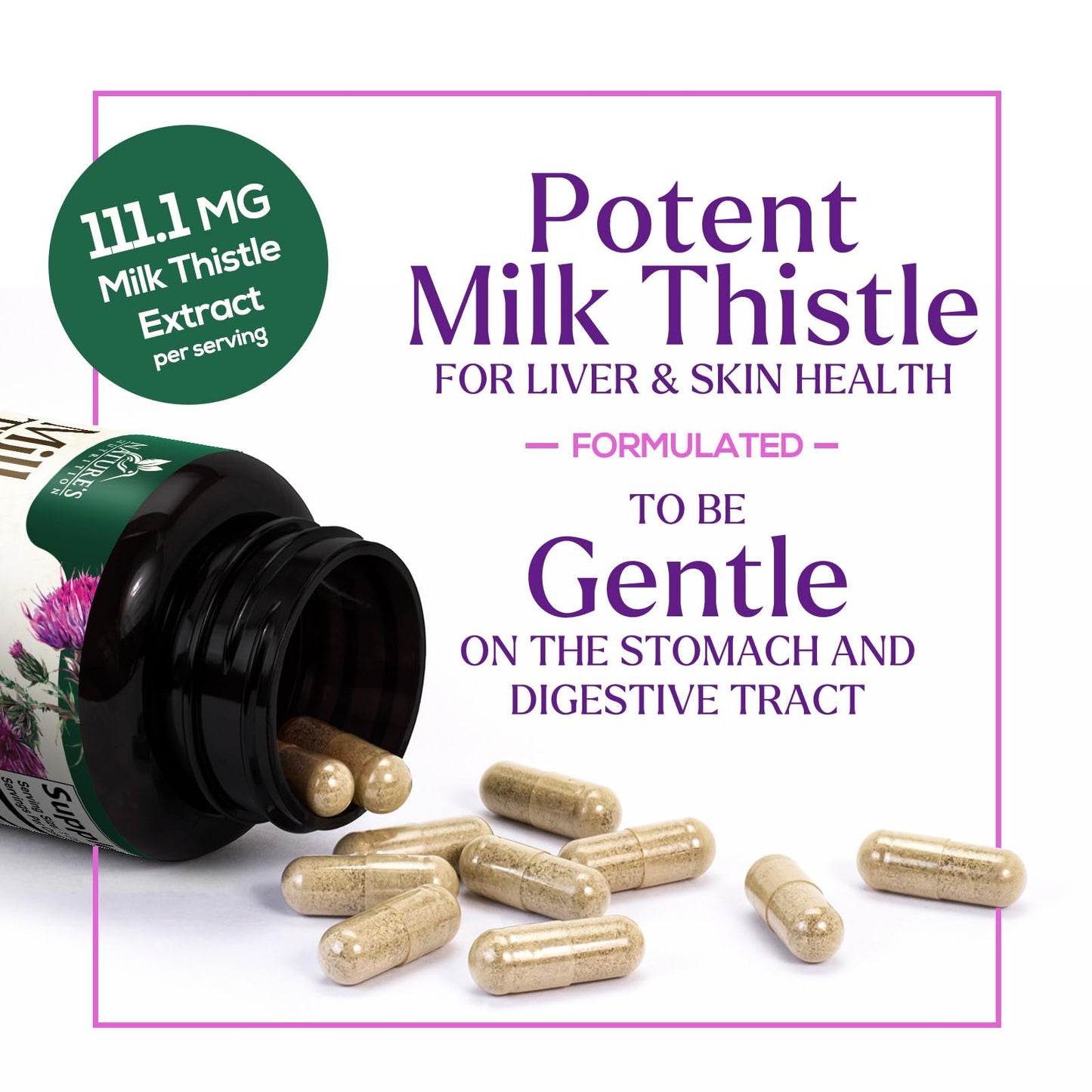 Nature's Nutrition Milk Thistle Extract Capsules 120 Count