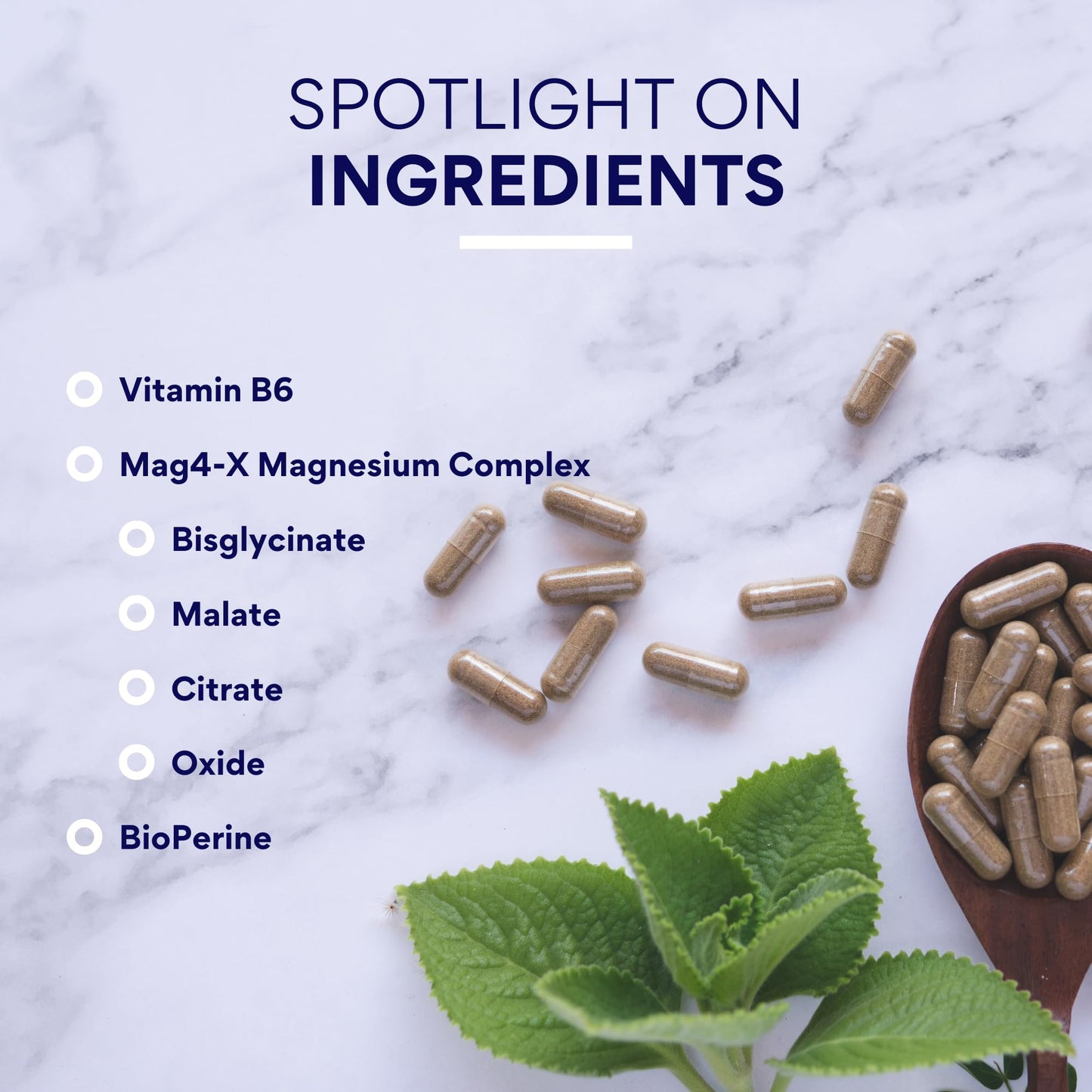 Research Verified Magnesium Complex 360 Capsules