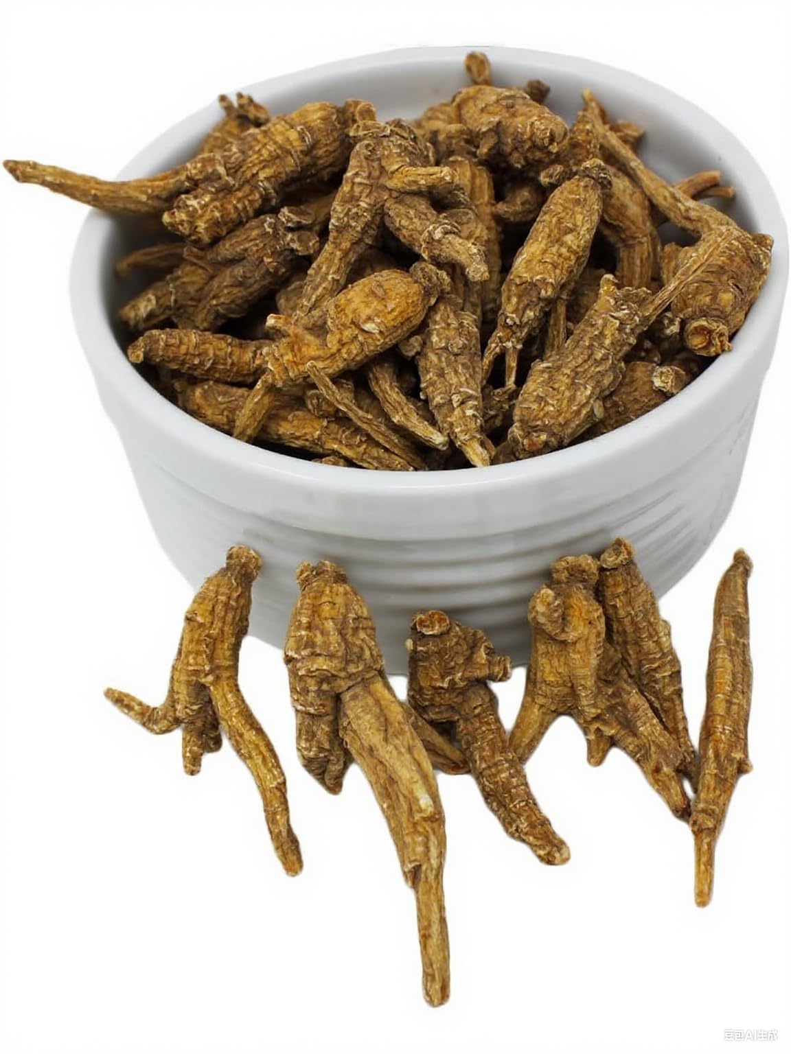 DABC OAK LAND Wisconsin American Ginseng 8 Tablets