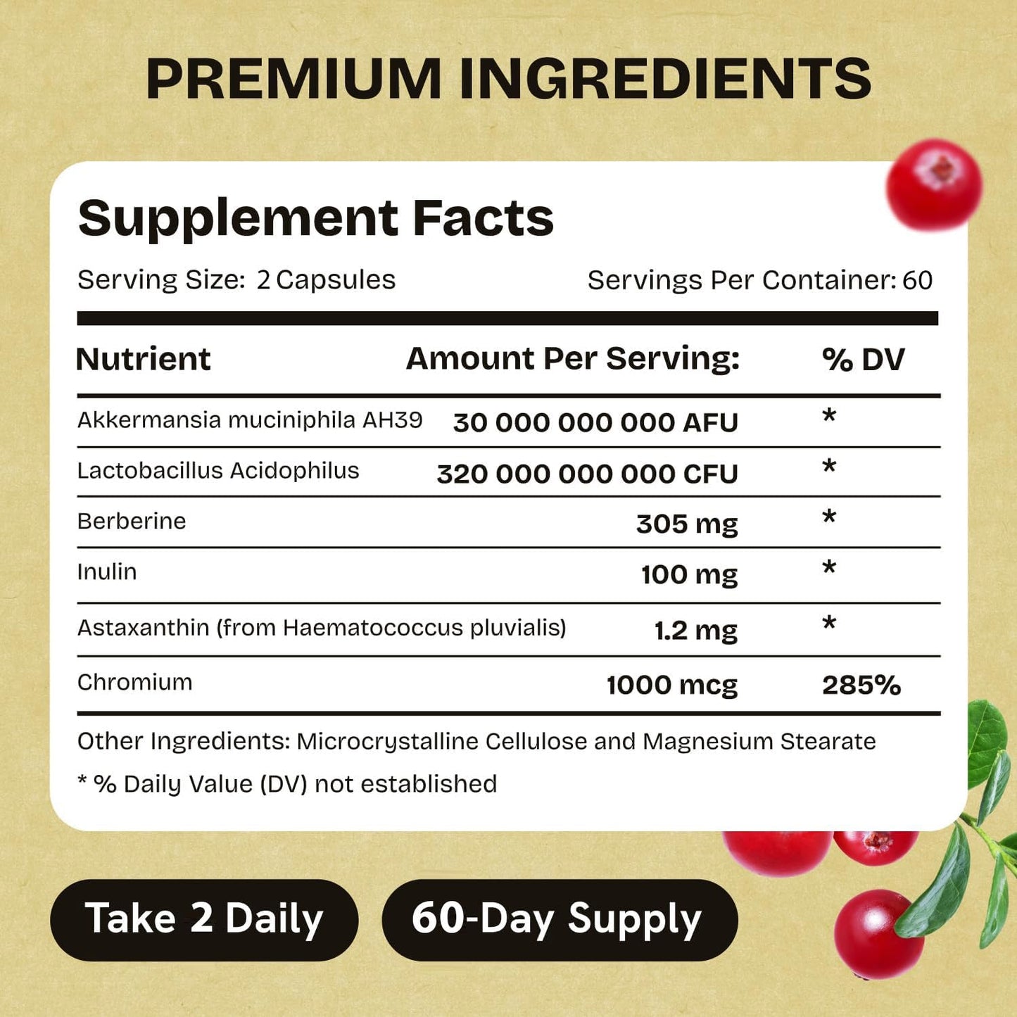 Stanis Labs Akkermansia Muciniphila Probiotics 320 Billion CFU Capsules, 480 Capsules