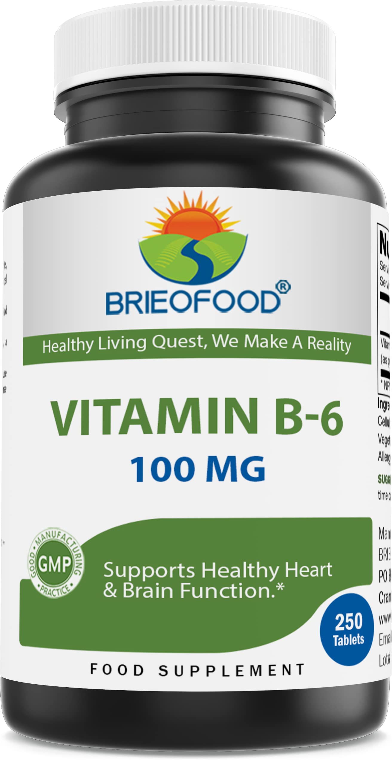 Brieofood Vitamin B6 100 mg Tablet, 250 Tablets