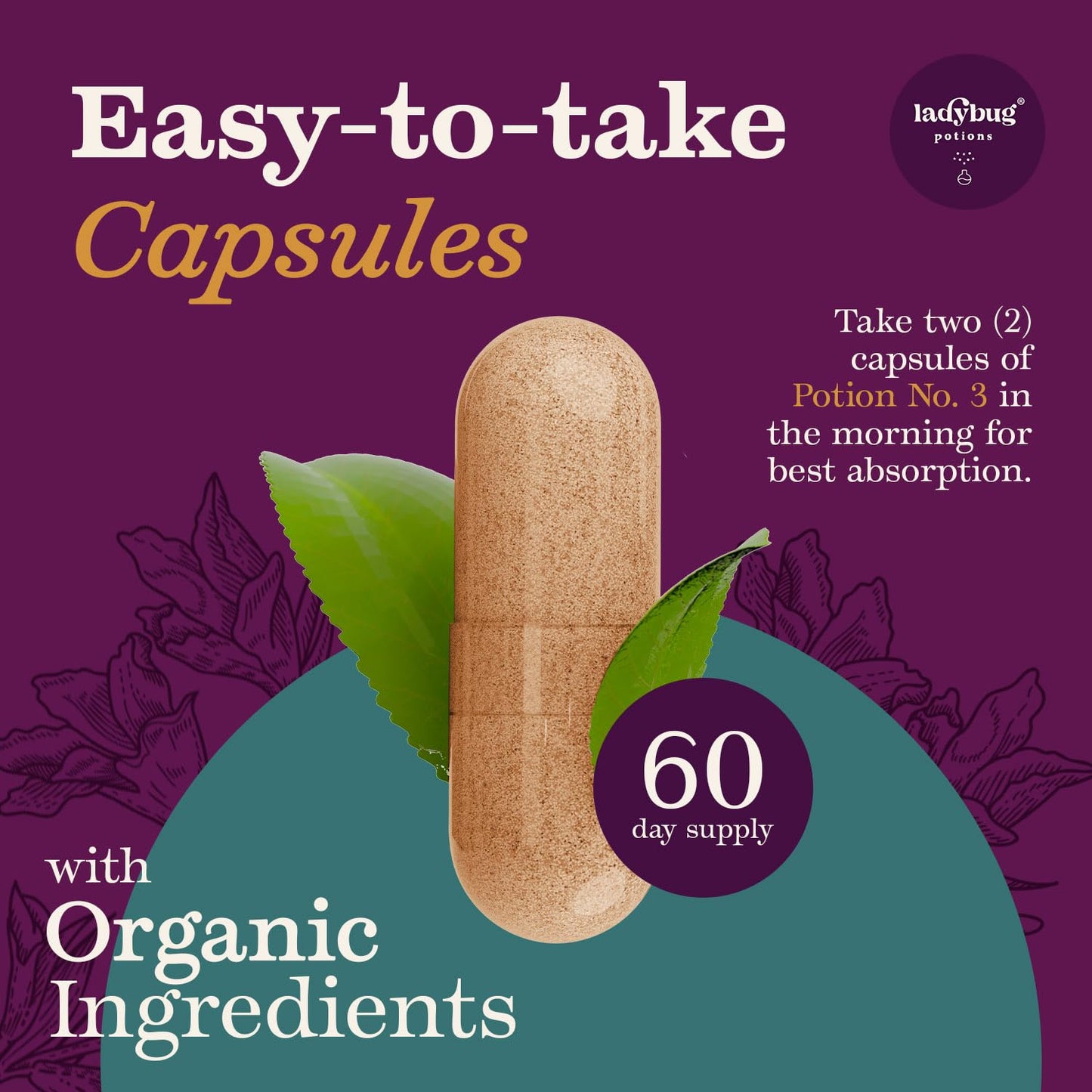 Ladybug Potions Organic Mood Pills Capsules, 1 Capsule