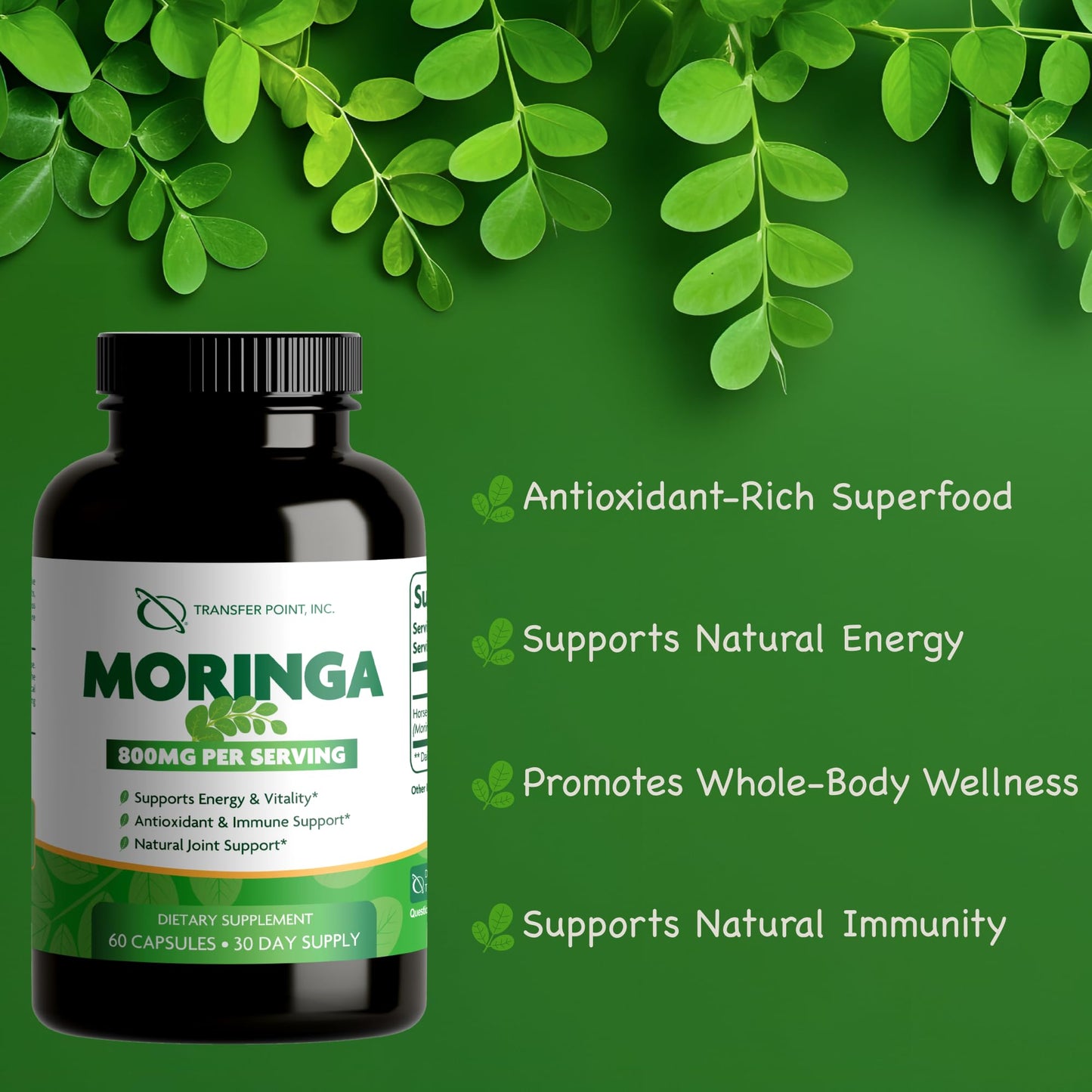 Transfer Point Moringa Oleifera Capsules 60 Veggie Capsules