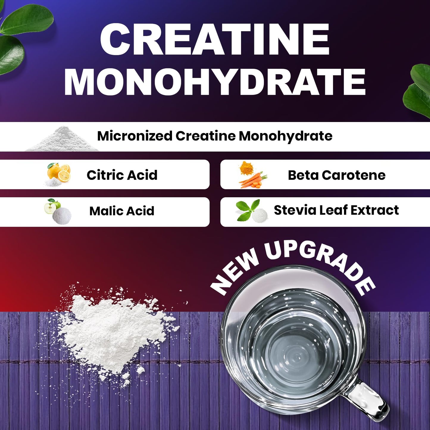MEGNETA Creatine Monohydrate Micronized Powder 60 Servings