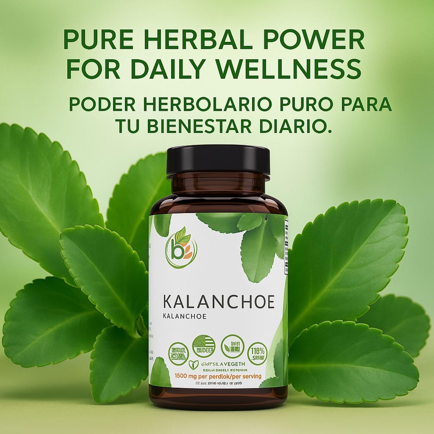 B-Experts Kalanchoe Pinnata Forte Leaf of Life Capsule 90 Count