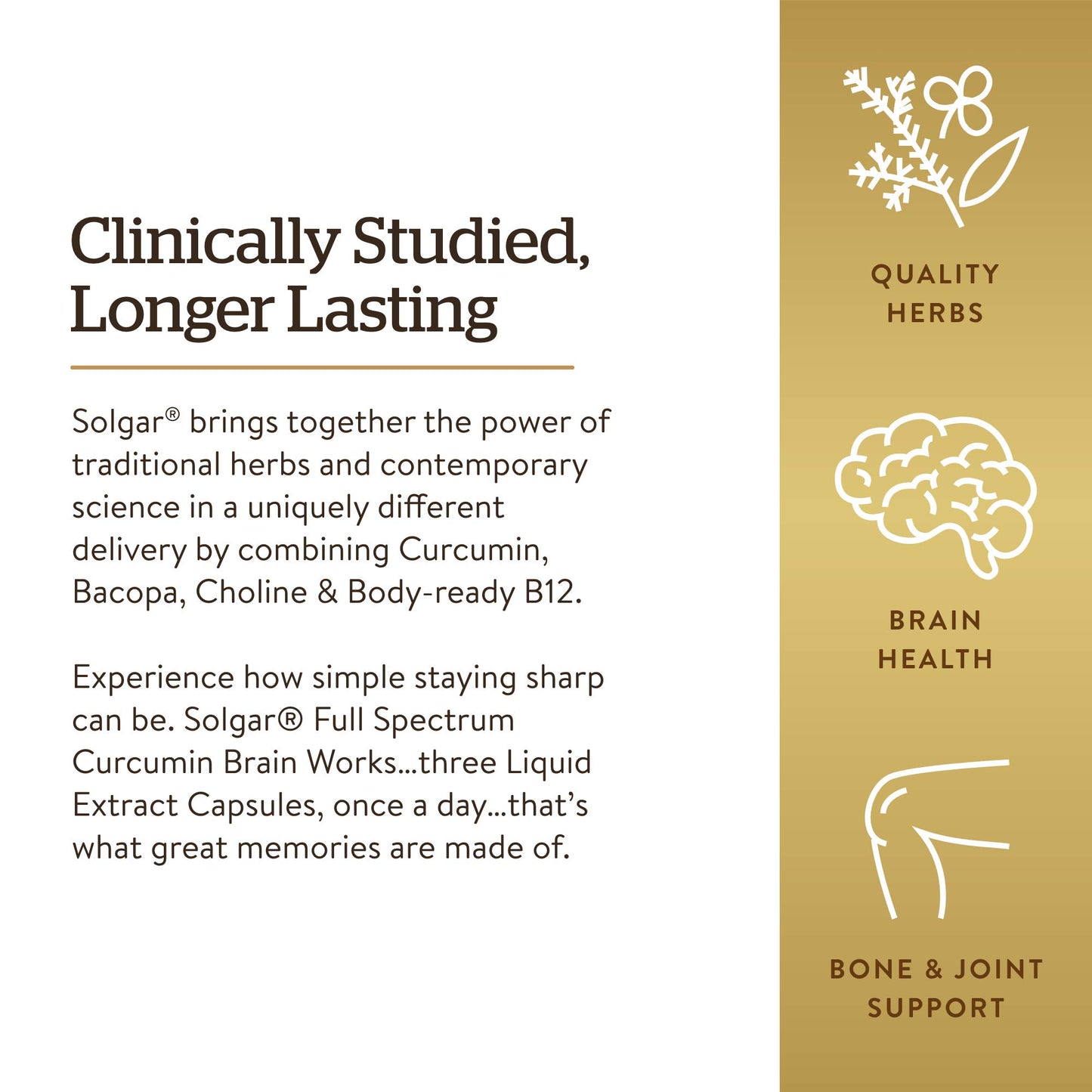 Solgar Full Spectrum Curcumin Brain Works Capsule 1 Count