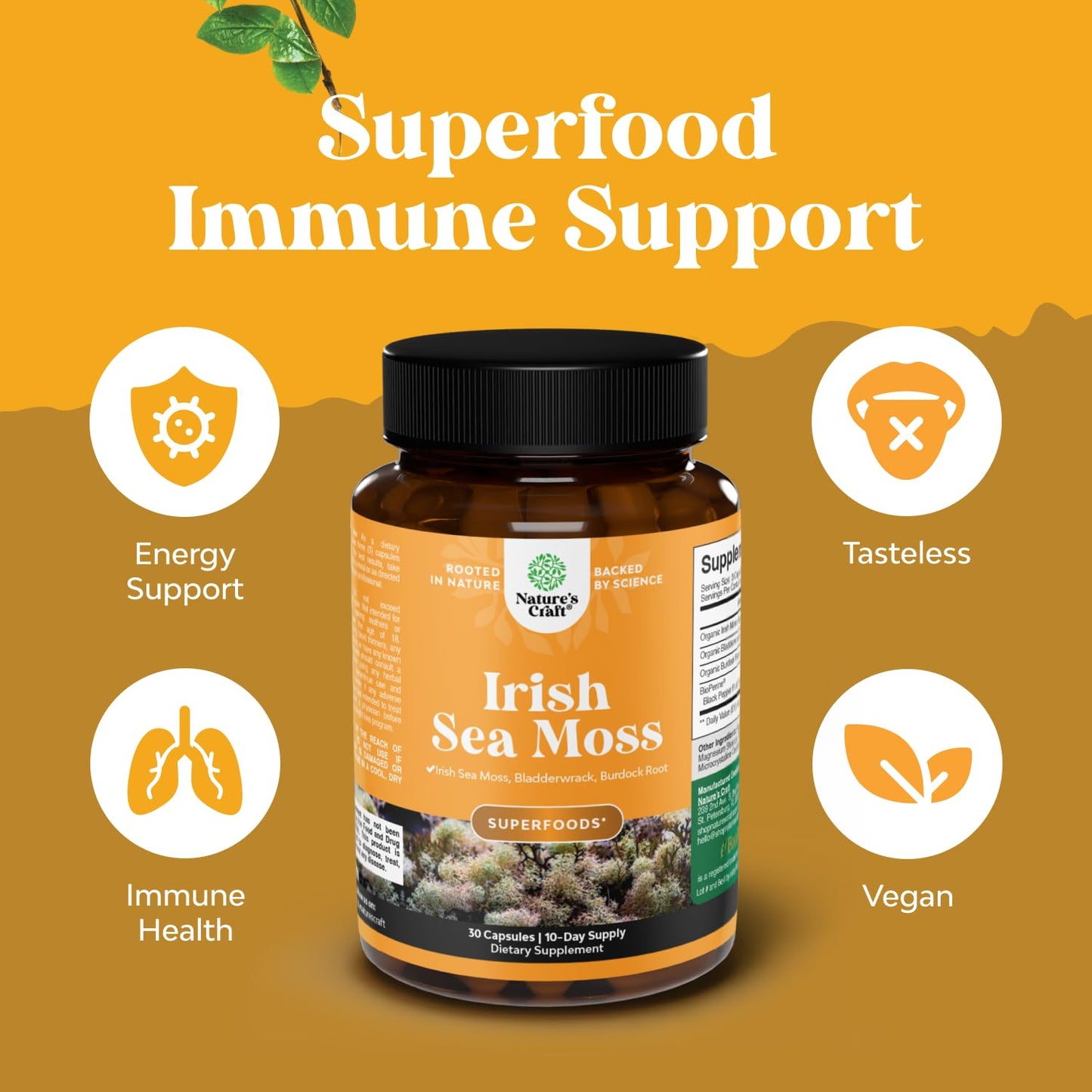 Natures Craft Irish Sea Moss Capsules with Bladderwrack and Burdock Root - Immune Support, Heart Health, Thyroid Support - 30 Capsules