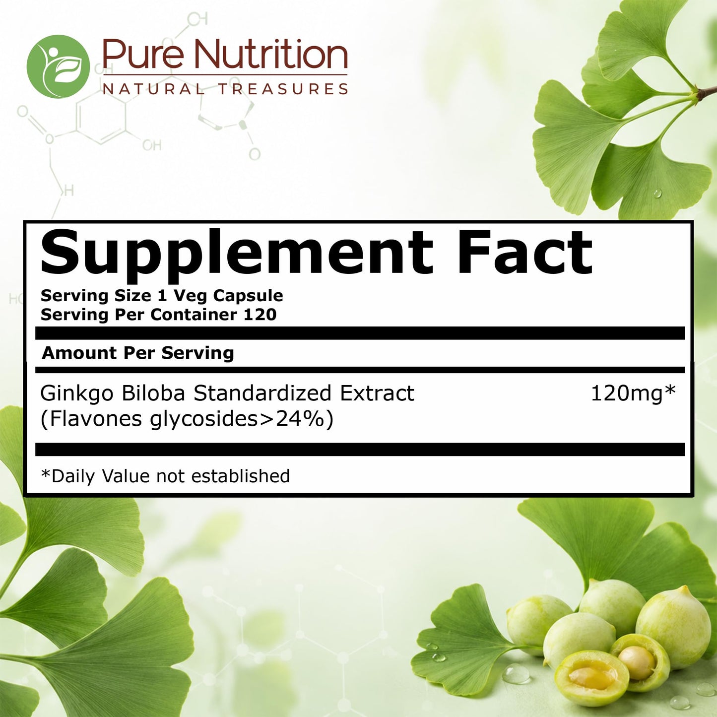 Pure Nutrition Natural Treasures Ginkgo Biloba 120 mg Capsules, 120 Count