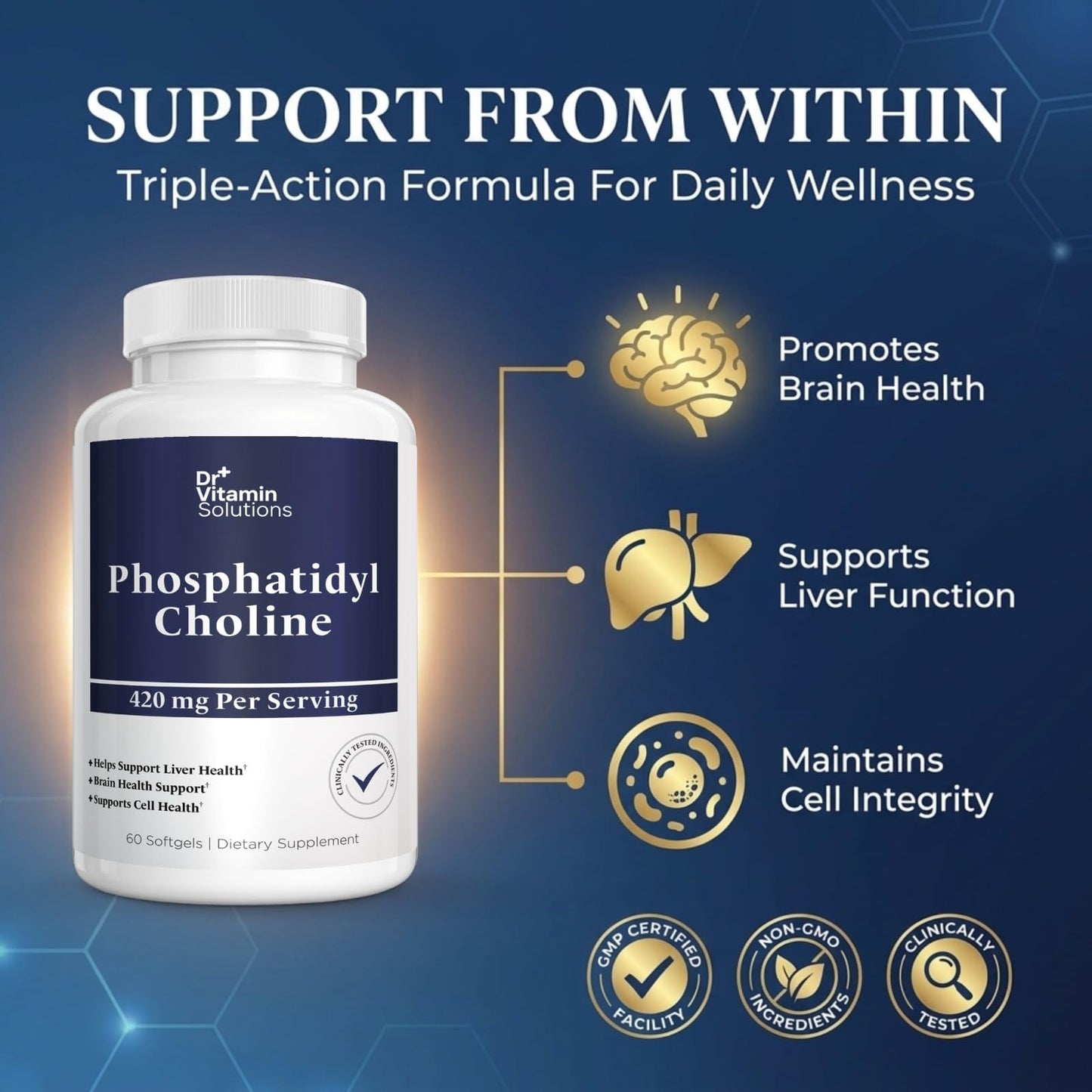 DR VITAMIN SOLUTIONS Phosphatidylcholine Choline Supplement 420mg Capsule 60 Count