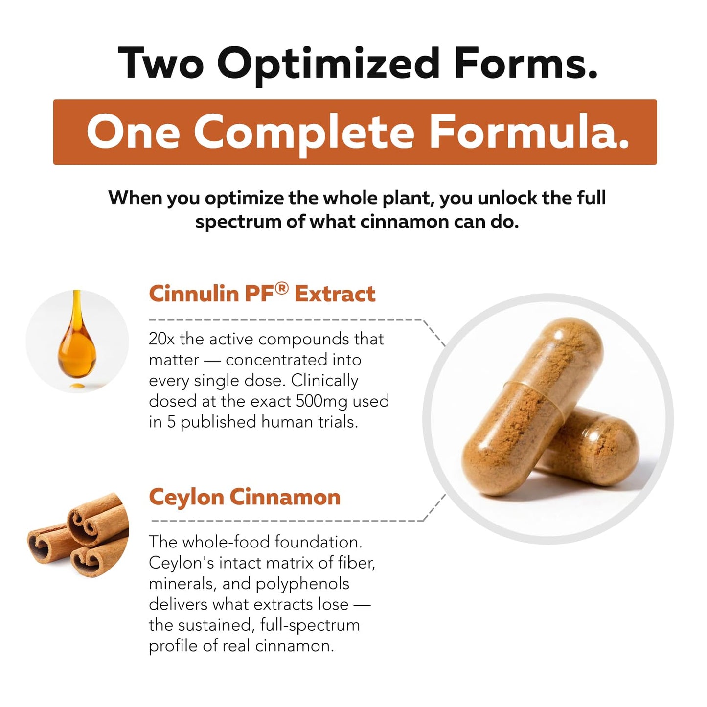 Triquetra Health SoActive Cinnamon Capsules 60 Count