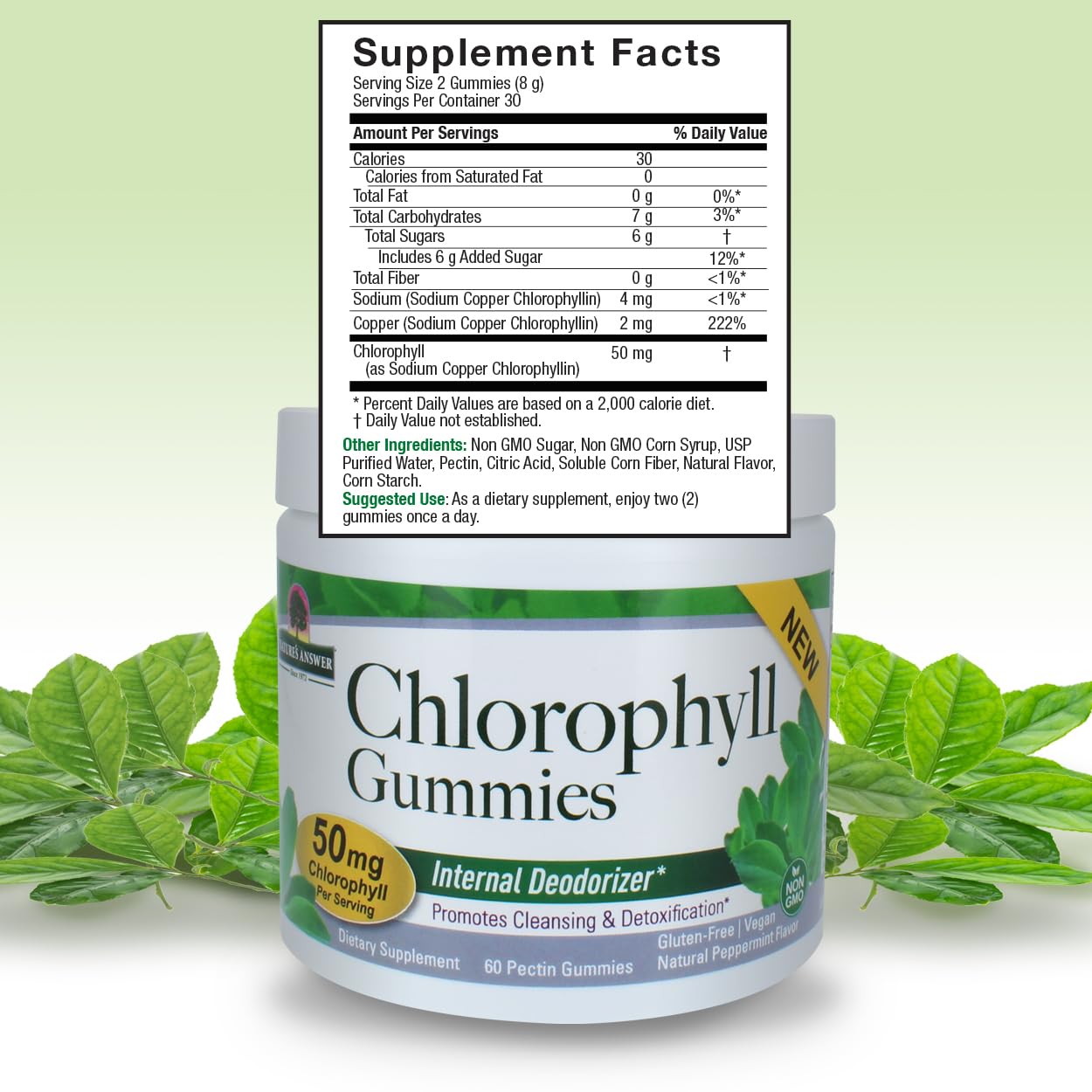 Nature's Answer Chlorophyll Gummies 60 Count