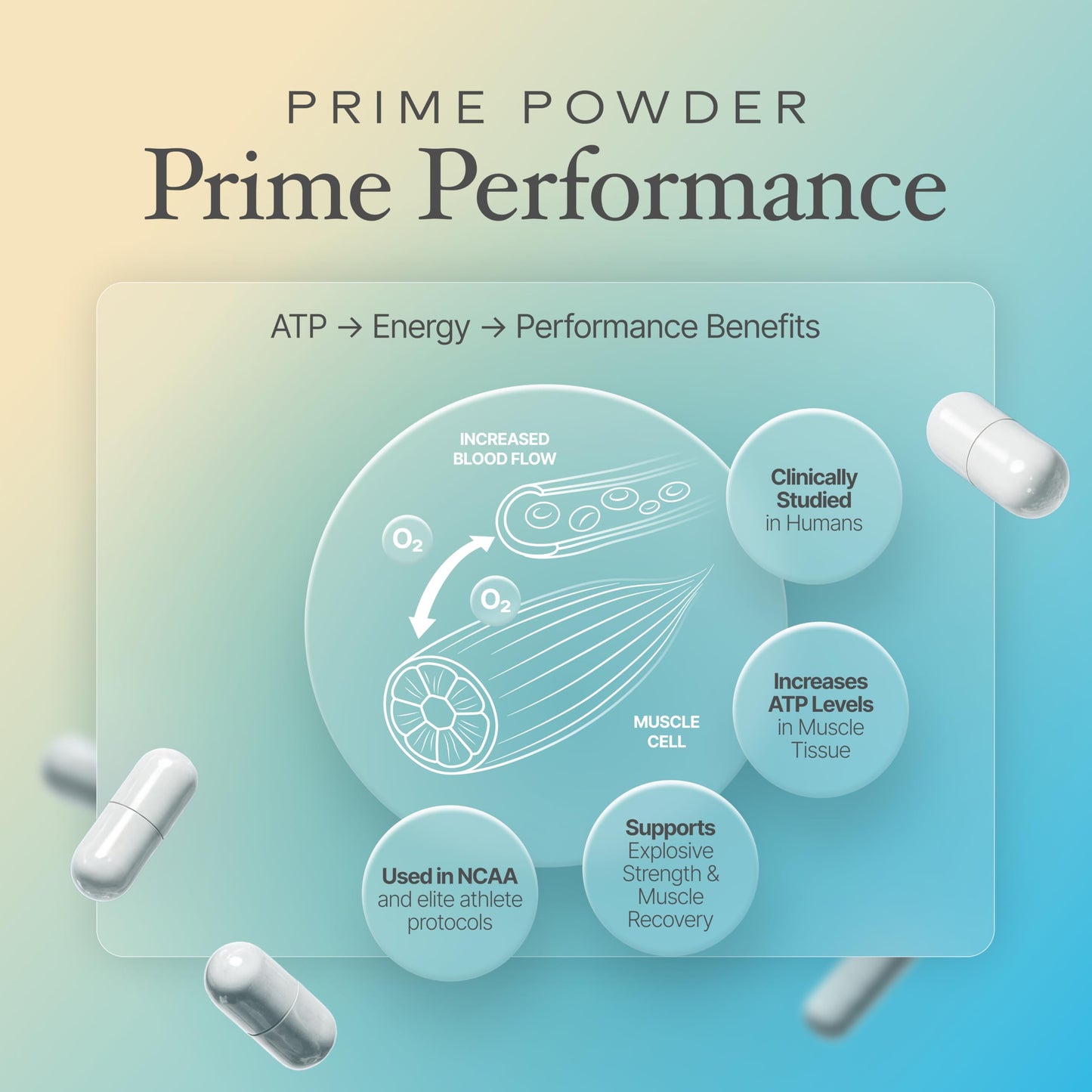 Prime Powders ATP Capsules, 120 Count