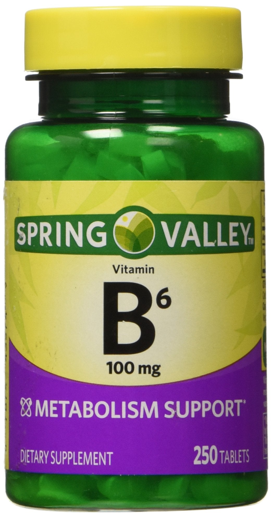 Spring Valley Vitamin B-6 (Pyridoxine) 100 mg, 250 Tablets