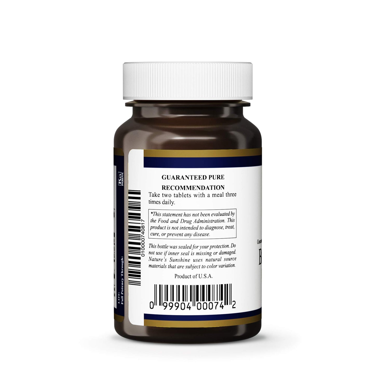 Xllent Bilberry Fruit Concentrate Tablet 60 Count