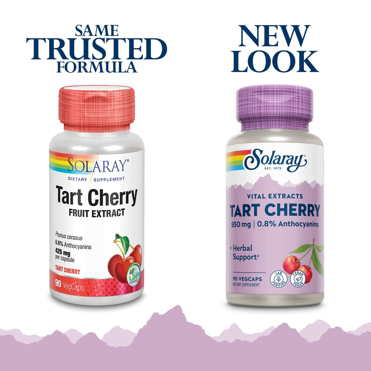 Solaray Tart Cherry Fruit Extract 850 mg Capsule, 90 Count