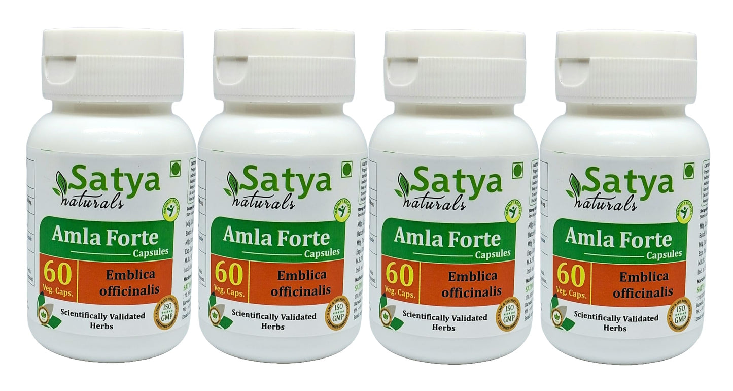 Satya Naturals Amla Forte Capsules 500 mg, 240 Capsules