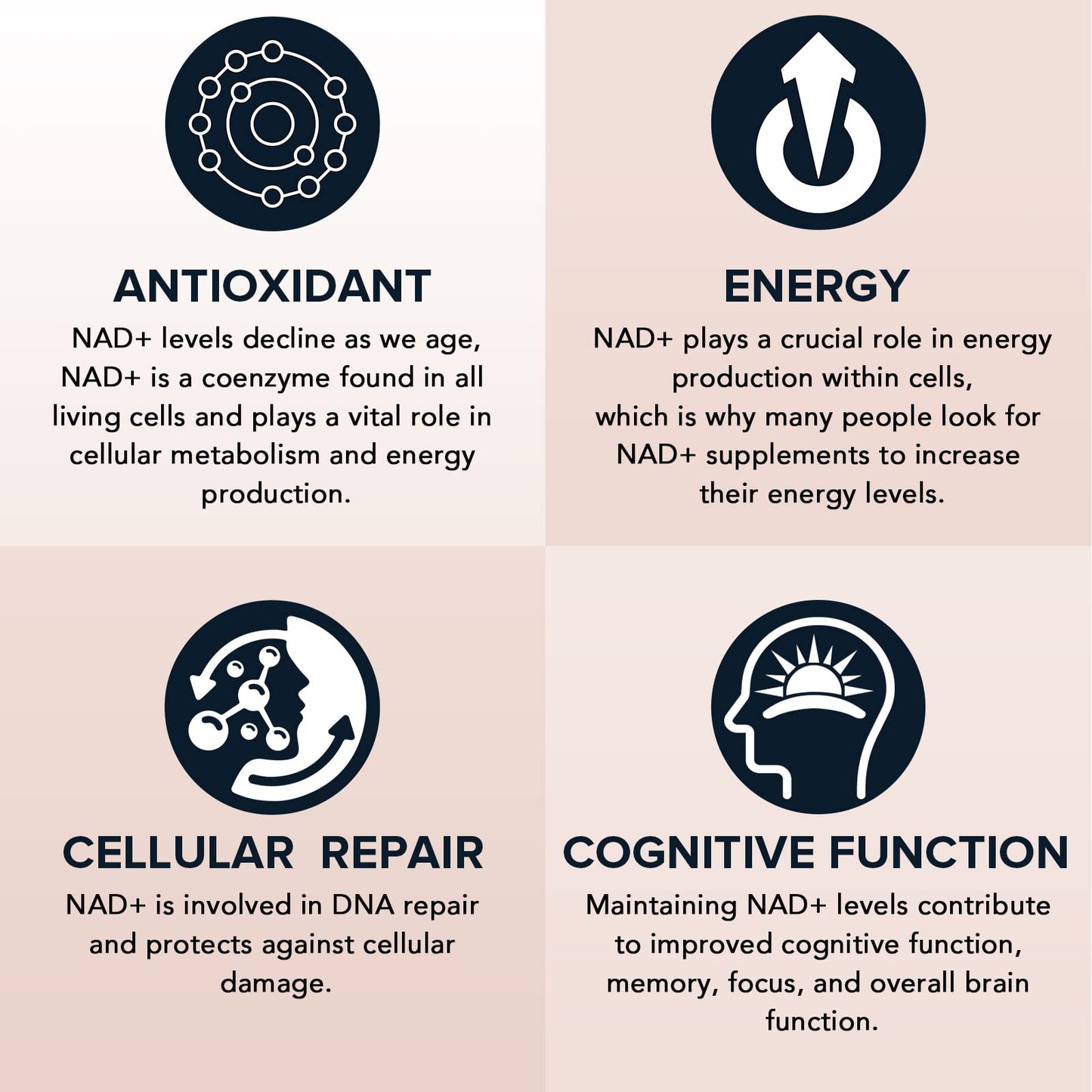 Fabamax Liposomal NAD+ Supplement 1600 mg, 60 Softgels