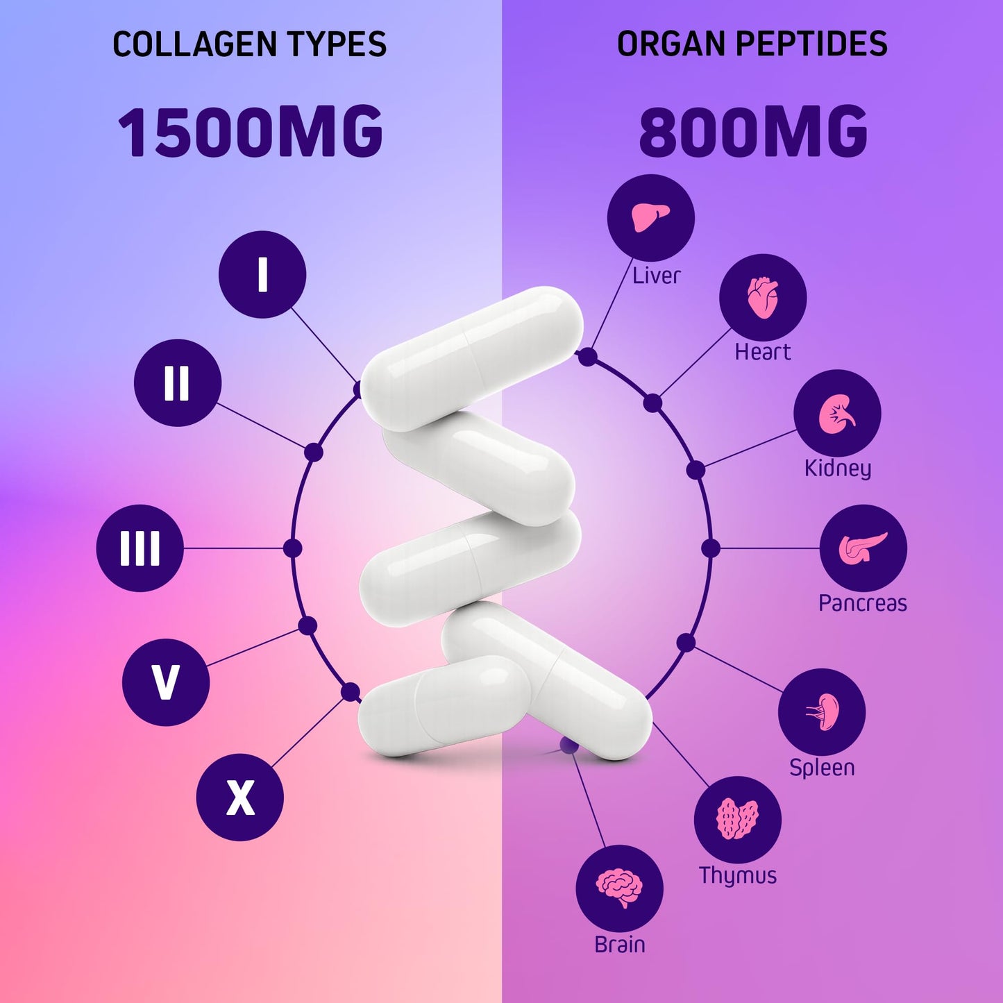 Herbtonics Multi Collagen + Organ Complex Capsules 90 Capsules