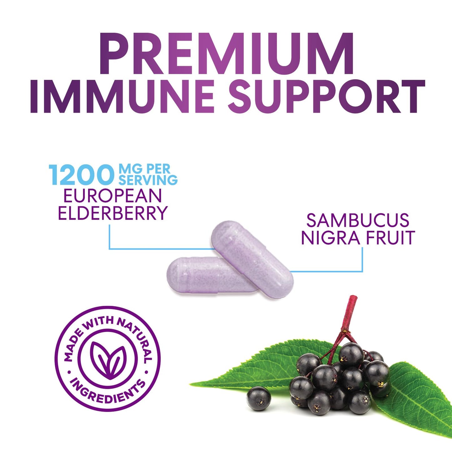 Nature's Nutrition European Elderberry Fruit Extract 1200mg Per Serving Capsules, 120 Capsules