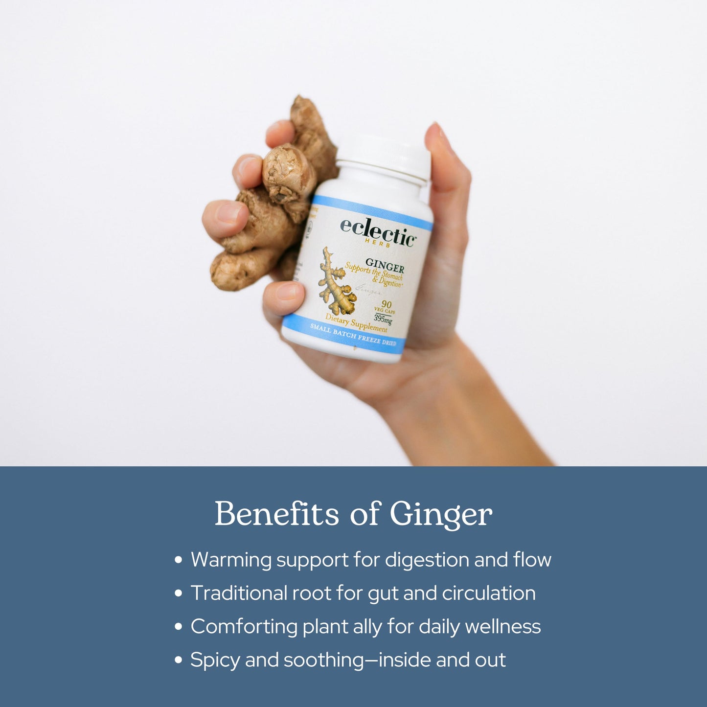Eclectic Institute Ginger 395 mg Capsule, 50 Count