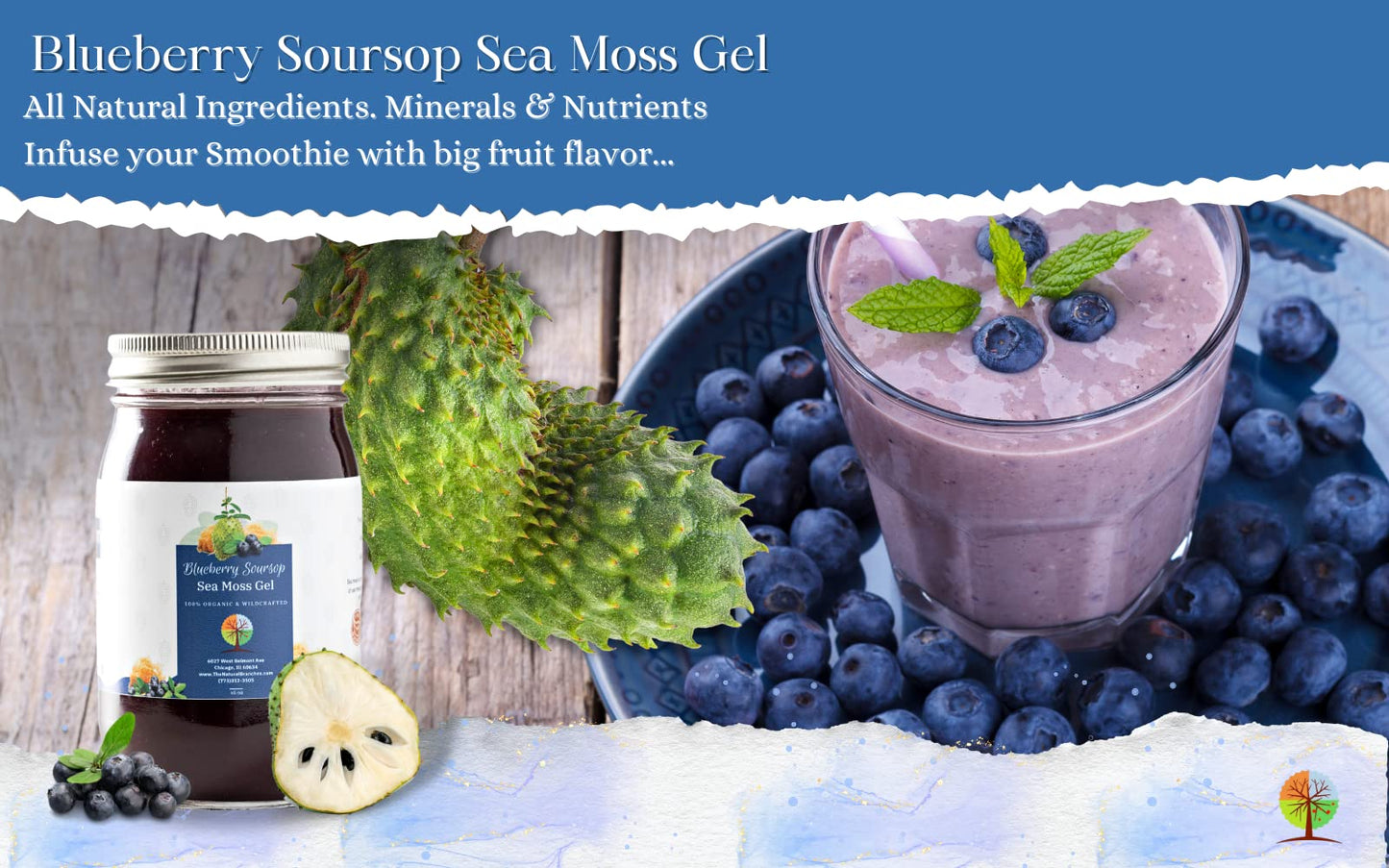 The Natural Branches Organic Blueberry and Soursop Fruit Sea Moss Gel Softgel 1 Count