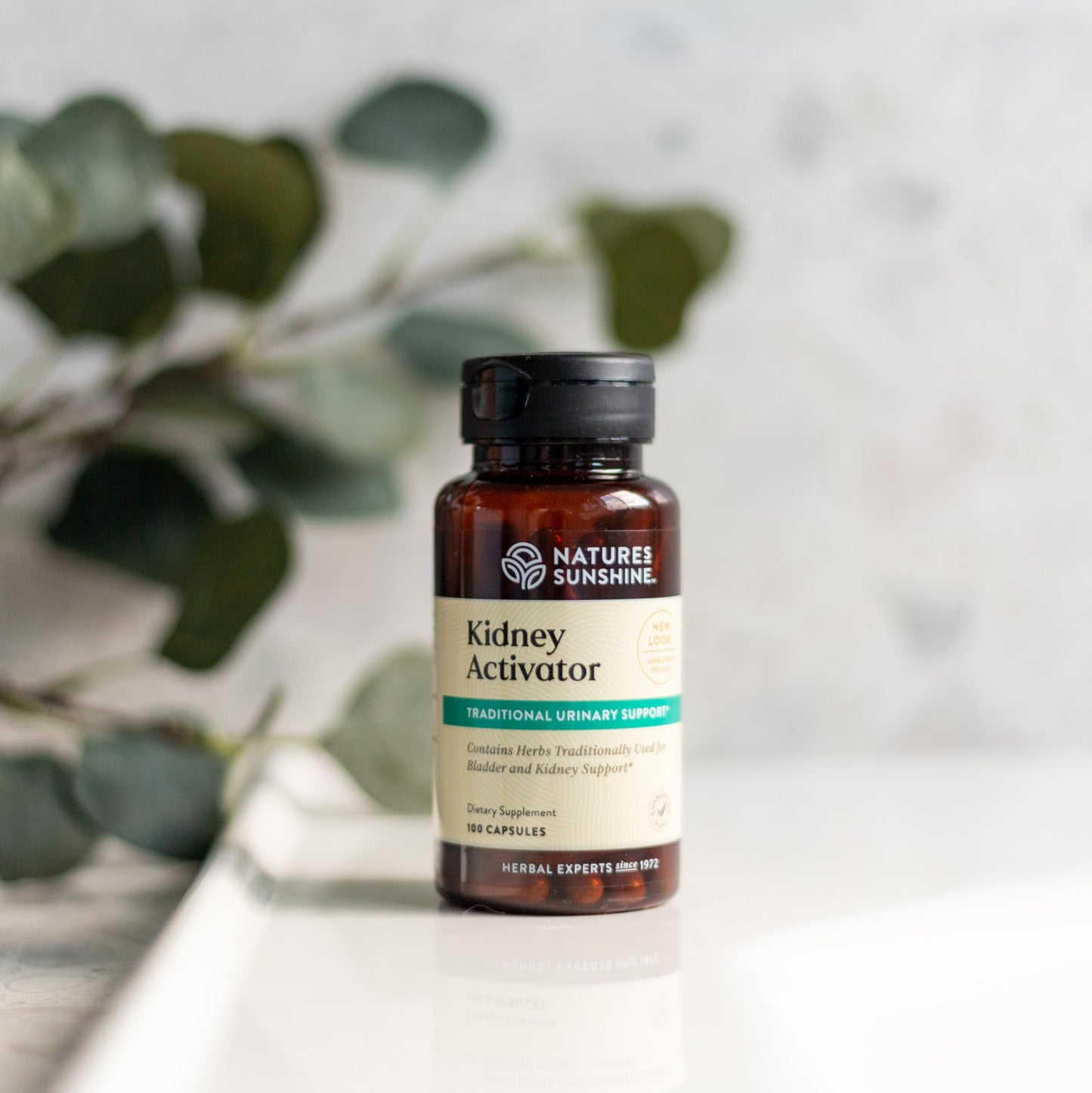 Nature's Sunshine Kidney Activator Capsules, 100 Capsules