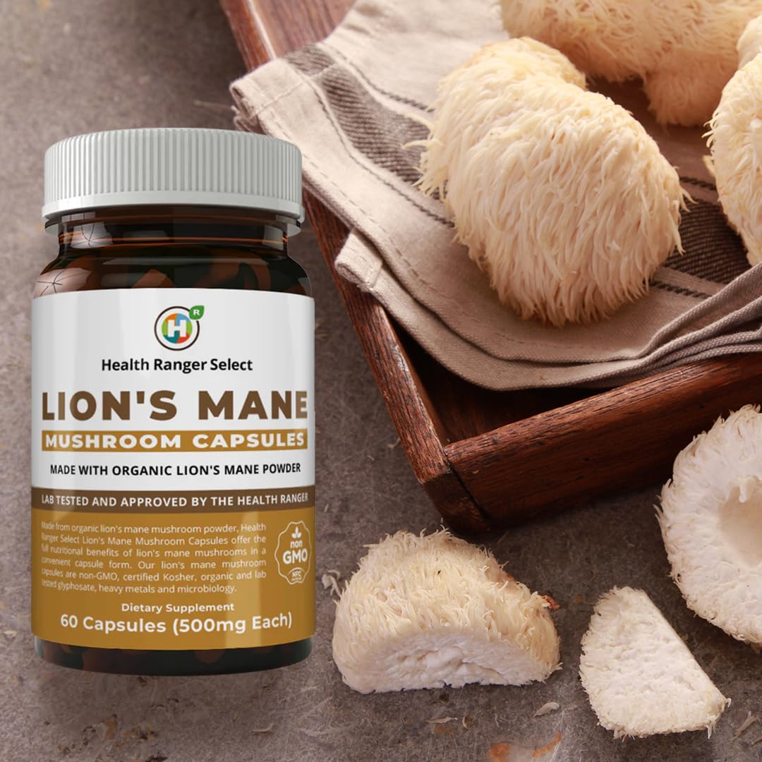 GROOVY BEE Lion's Mane Mushroom Capsules 60 Capsules