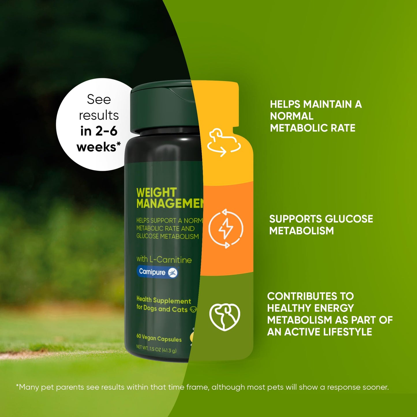 Rooted Owl Healthy Weight & Energy Metabolism Supplement for Dogs & Cats Capsule 1