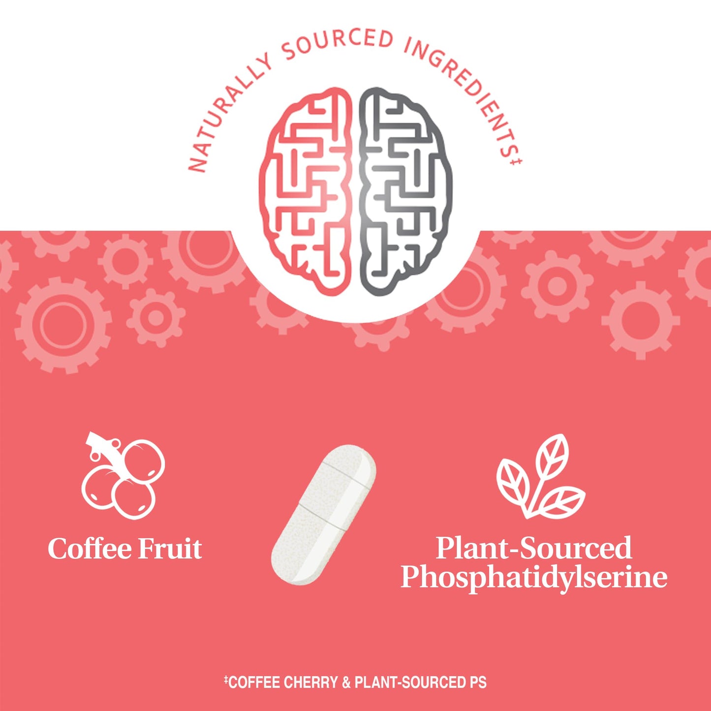 21st Century Brilliant Brain Performance Capsules, 30 Count