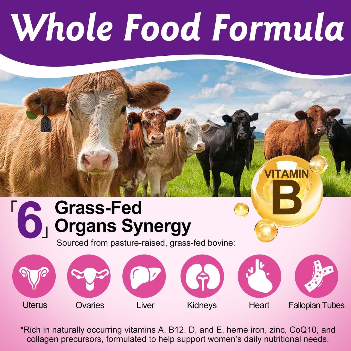 ZIXBMHYJ Beef Organ Supplement for Women, Women's Hormone & Vitality Capsules, 60 Capsules